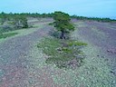 Naturreservatet vid Norrfällsvikens södra udde